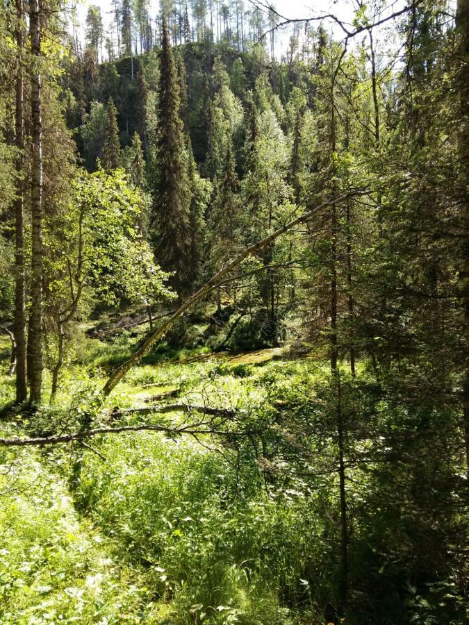 Salmikankaankelo C4 Ruka Εξωτερικό φωτογραφία